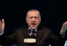 Эрдоган не прав, но Европу не жалко