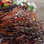 Священник рассказал, как быть с освященными ветвями вербы