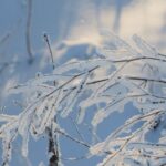 Волна холода из Арктики идет в Украину: синоптик рассказал, когда ждать мороз до –10°C