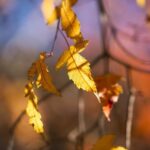 Тепло и без существенных осадков, но есть нюанс – синоптик о погоде на среду