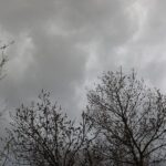 Теплый антициклон не пускает зиму в Украину: синоптики рассказали о погоде 3 декабря