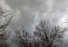 Теплый антициклон не пускает зиму в Украину: синоптики рассказали о погоде 3 декабря