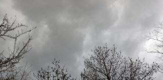 Теплый антициклон не пускает зиму в Украину: синоптики рассказали о погоде 3 декабря