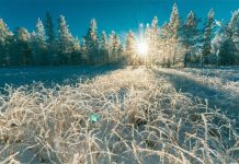 Украину ждут суровые дни: к чему следует подготовиться – прогноз погоды от Укргидрометцентра на три дня