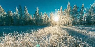 Украину ждут суровые дни: к чему следует подготовиться – прогноз погоды от Укргидрометцентра на три дня